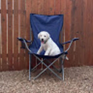 Meet your Posher, Regan